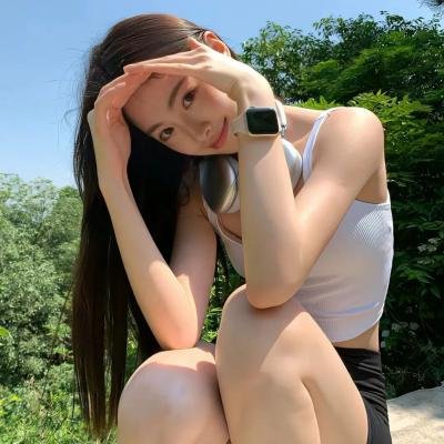 完美独裁